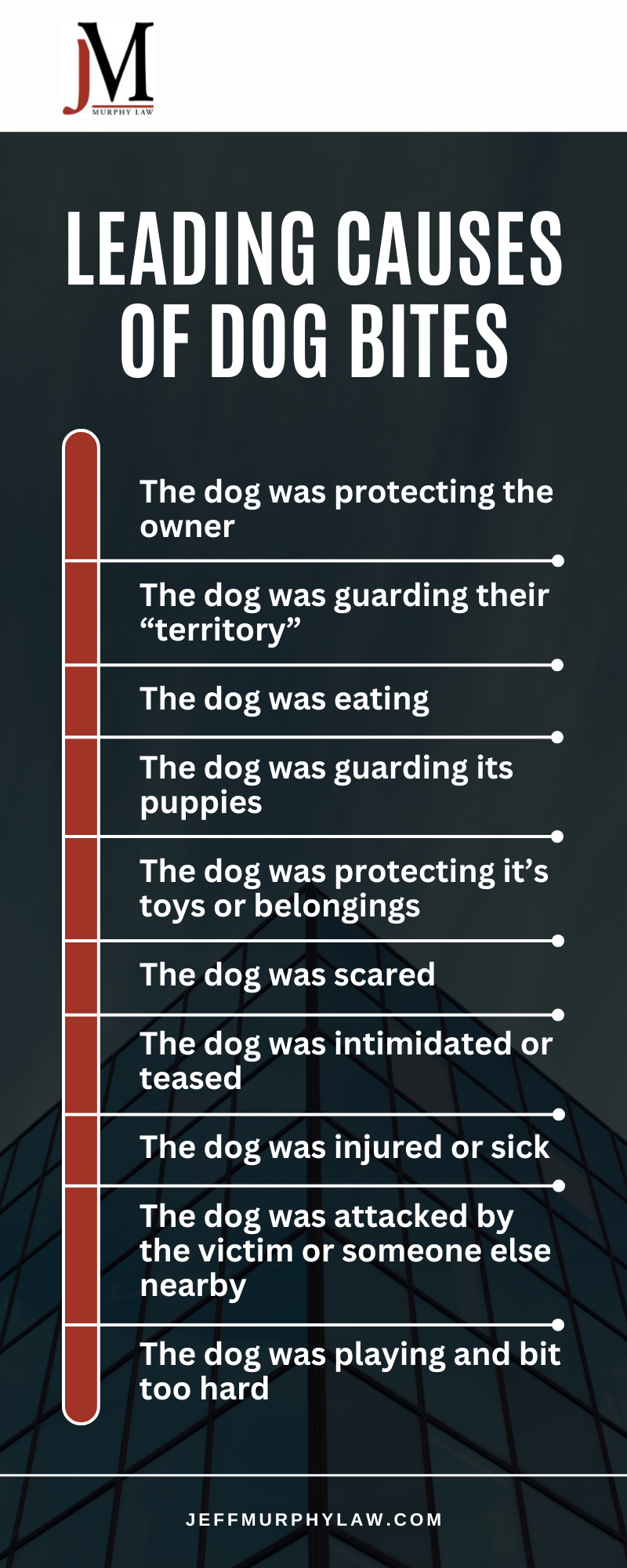 Leading Causes of Dog Bites Infographic